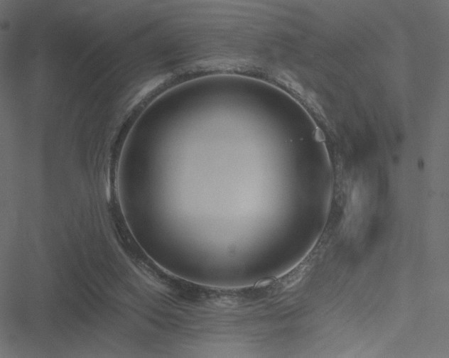 X0000051250062200506171146