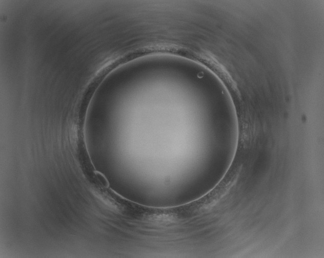 X0000051250063200506171146