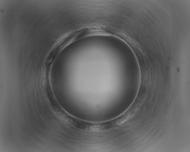 X0000051250064200506171146