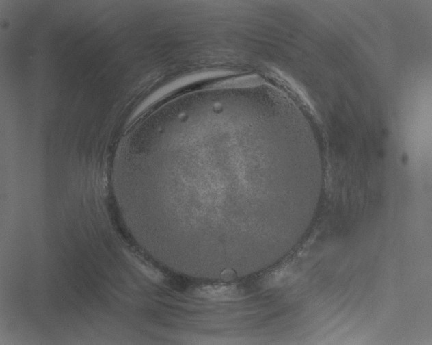 X0000051250065200506171146