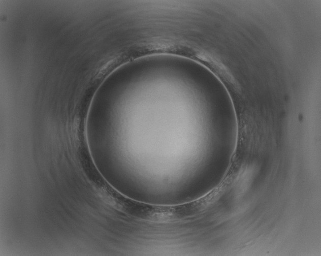 X0000051250066200506171146