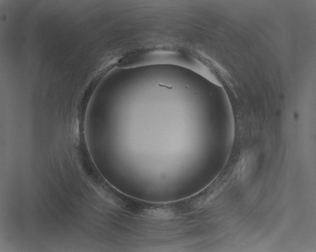 X0000051250067200506171146