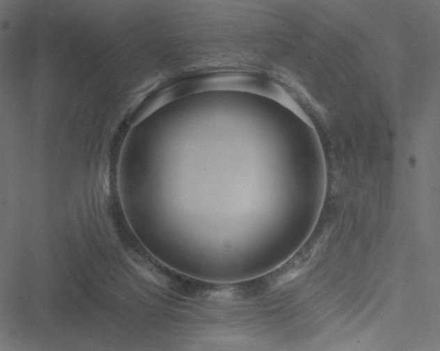 X0000051250068200506171146