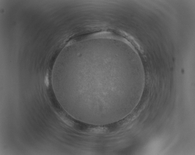 X0000051250069200506171146