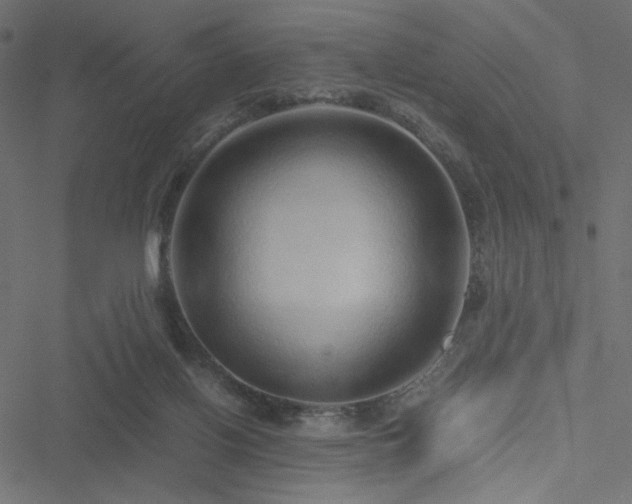 X0000051250070200506171146