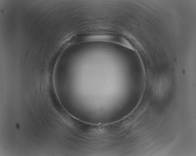 X0000051250071200506171146