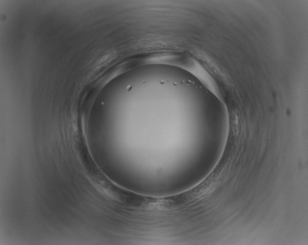 X0000051250072200506171146