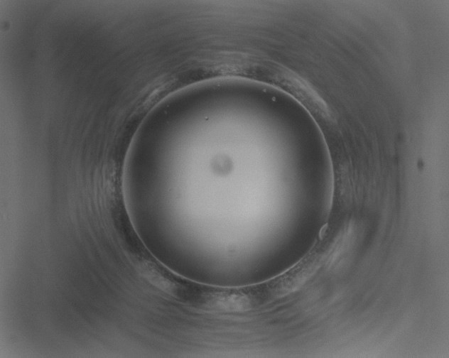 X0000051250073200506171146