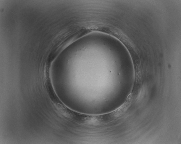 X0000051250074200506171146