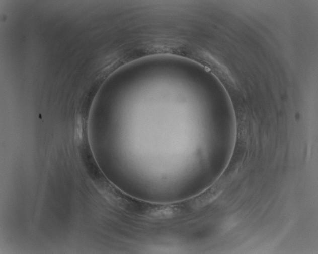 X0000051250075200506171146