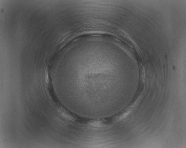 X0000051250076200506171146