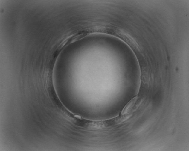 X0000051250077200506171146