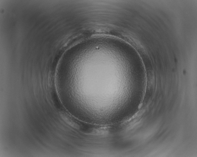 X0000051250078200506171146