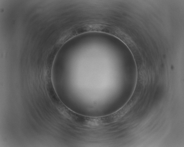 X0000051250079200506171146