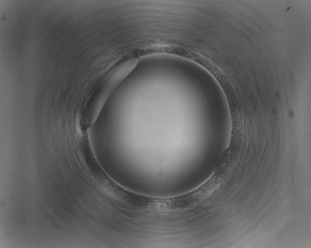 X0000051250080200506171146