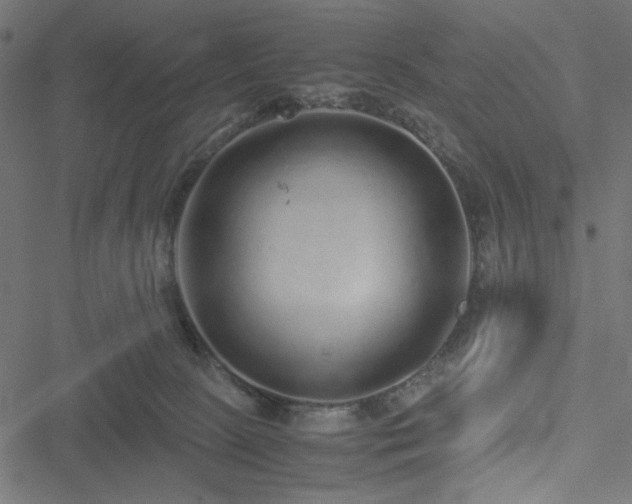 X0000051250081200506171146