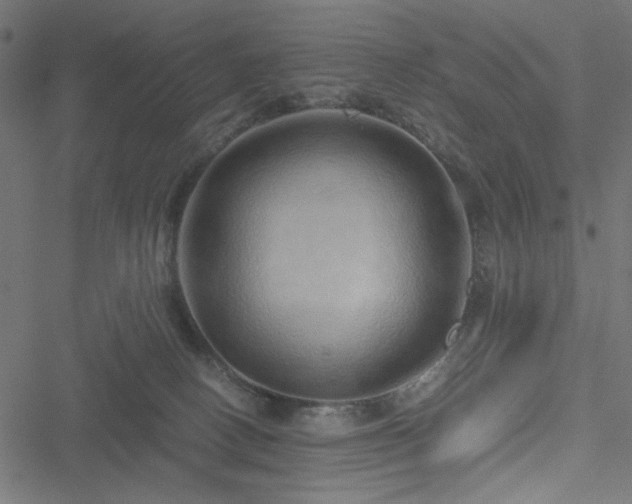 X0000051250082200506171146