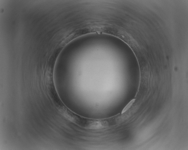 X0000051250083200506171146