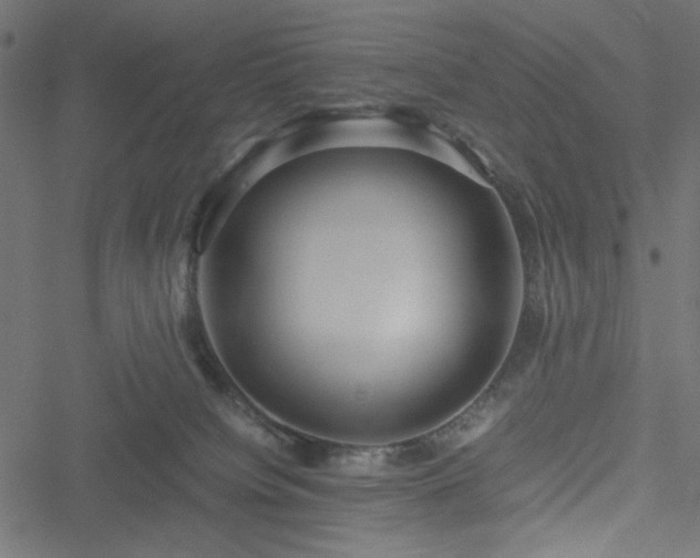 X0000051250084200506171146