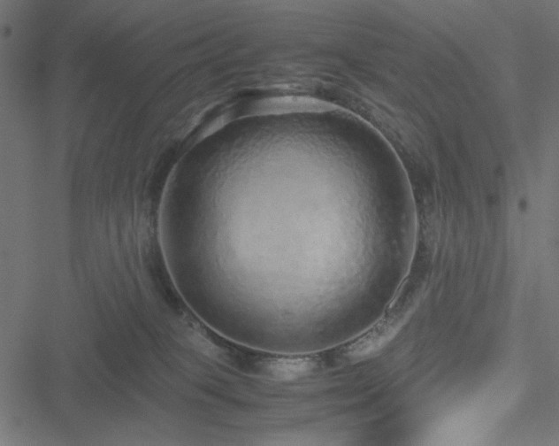 X0000051250085200506171146