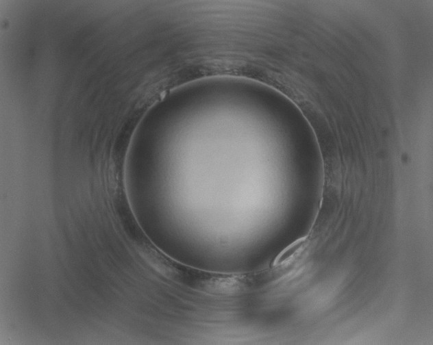 X0000051250086200506171146