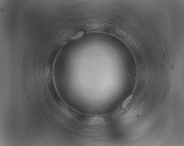 X0000051250087200506171146