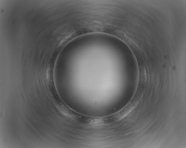 X0000051250088200506171146