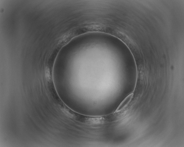 X0000051250089200506171146