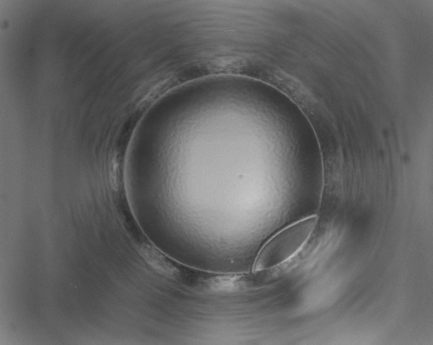 X0000051250090200506171146