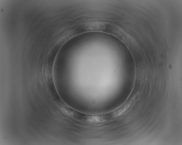 X0000051250091200506171147