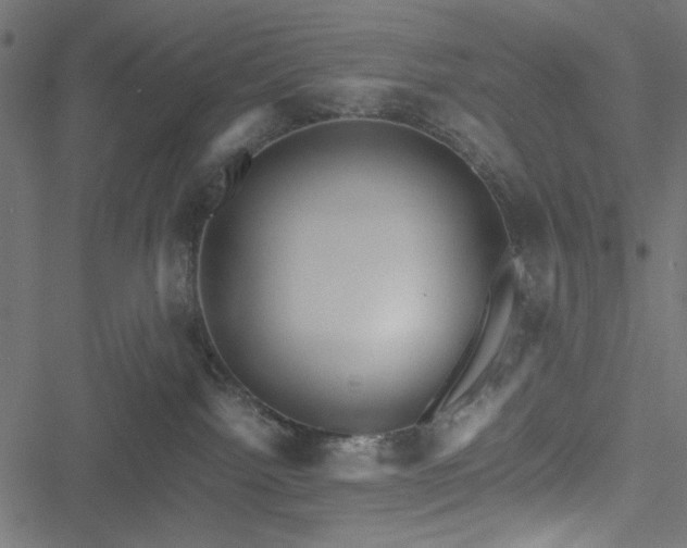 X0000051250092200506171147