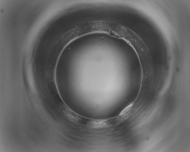 X0000051250093200506171147