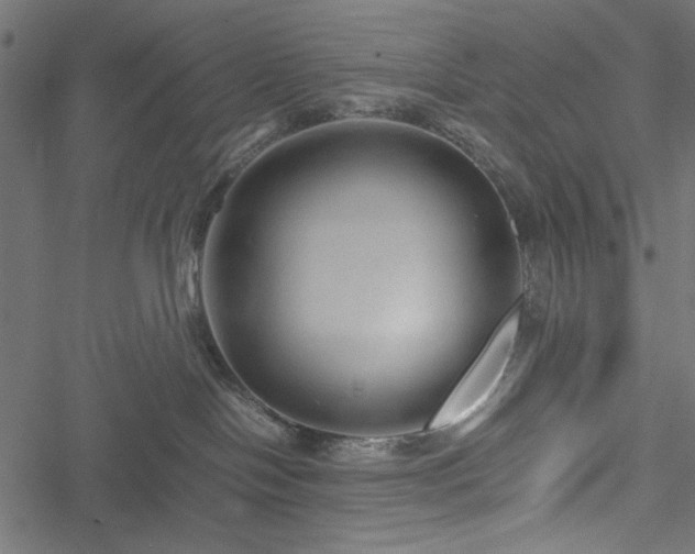 X0000051250094200506171147