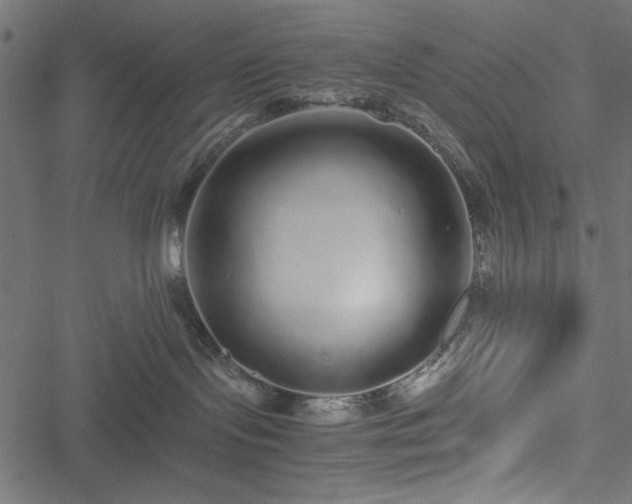 X0000051250095200506171147