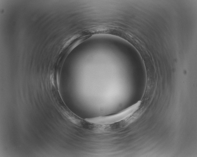 X0000051250096200506171147