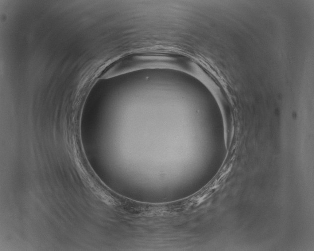 X0000051250097200506171146