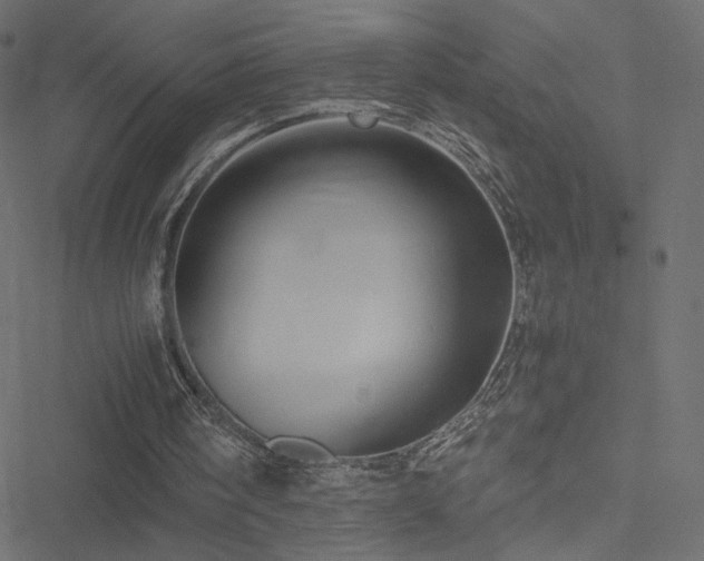 X0000051250098200506171146