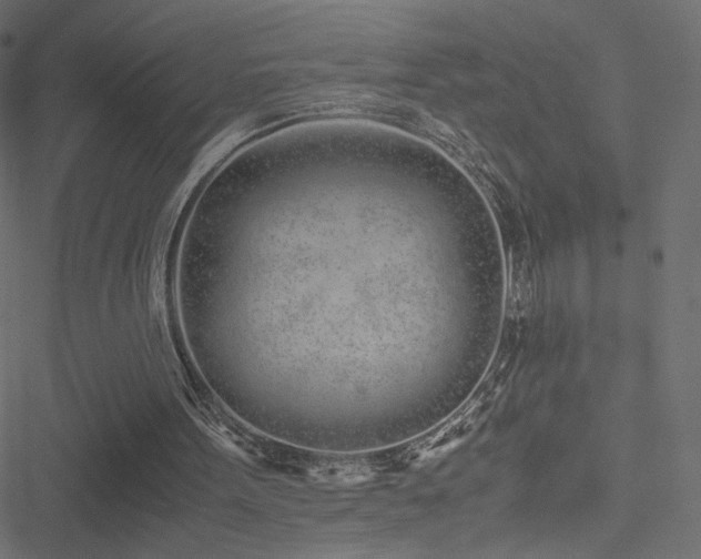 X0000051250099200506171146