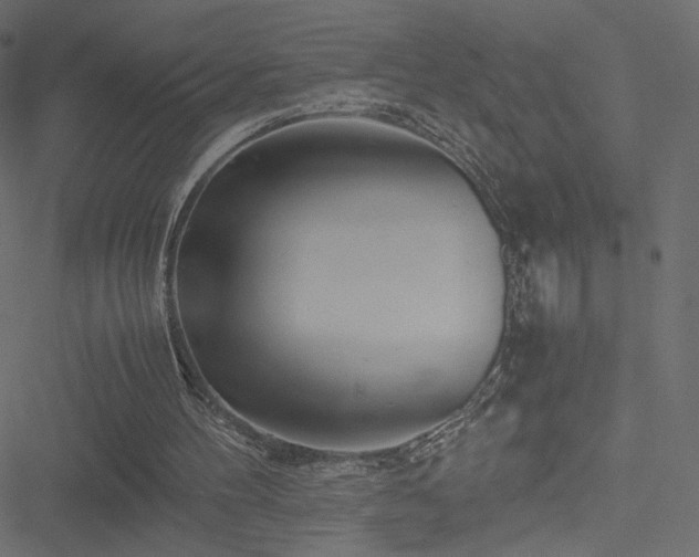 X0000051250100200506171146