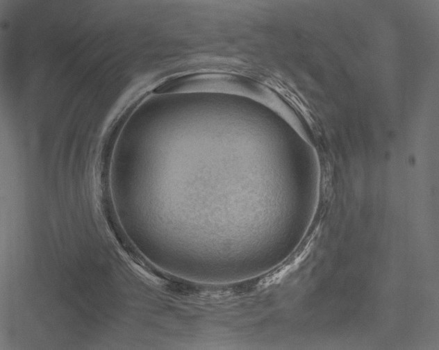 X0000051250101200506171146