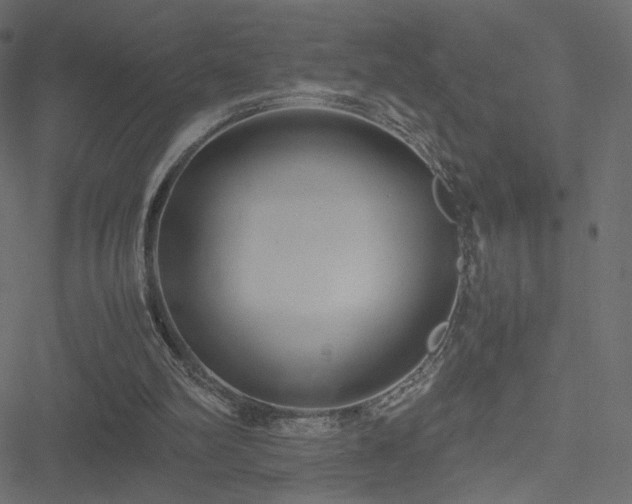 X0000051250102200506171146