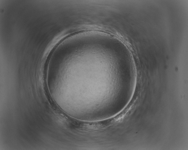 X0000051250103200506171146