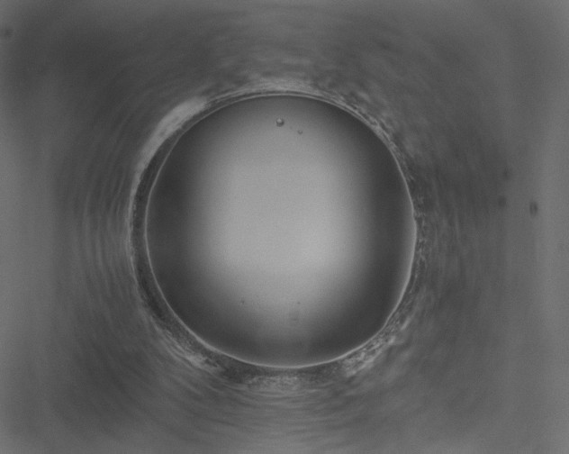 X0000051250104200506171146