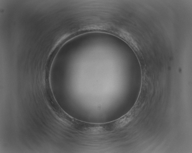 X0000051250108200506171146