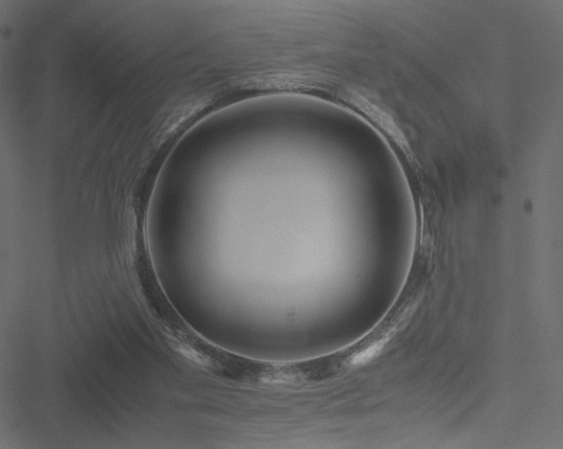 X0000051250109200506171146