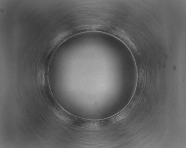 X0000051250110200506171146