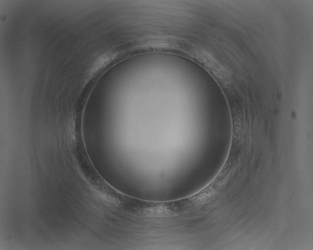 X0000051250112200506171146