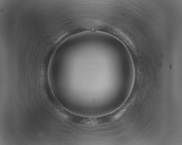 X0000051250113200506171146