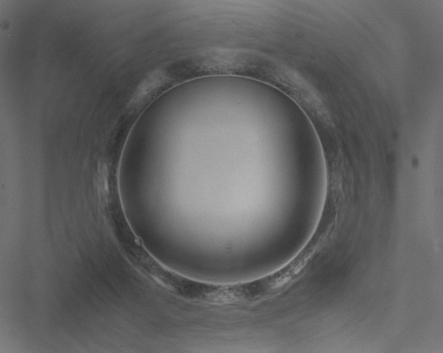 X0000051250115200506171145