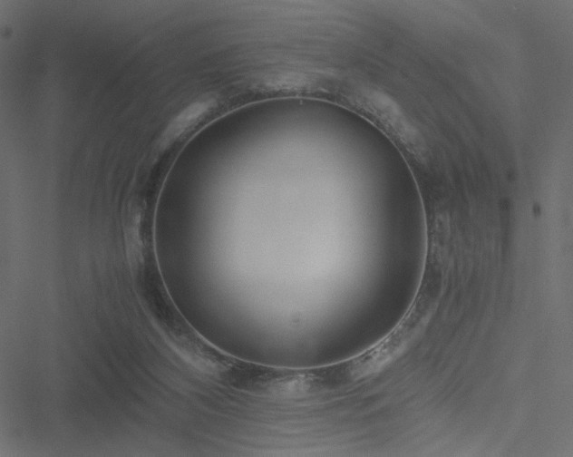 X0000051250116200506171145